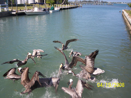 Picture 636